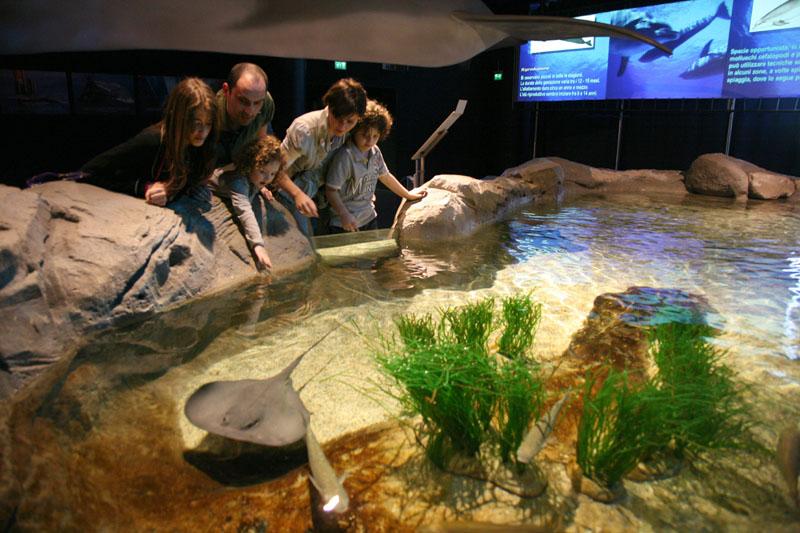 cosa fare a Riccione: Oltremare parco tematico naturalistico-tecnologico cosa fare a Riccione: Oltremare parco tematico naturalistico-tecnologico